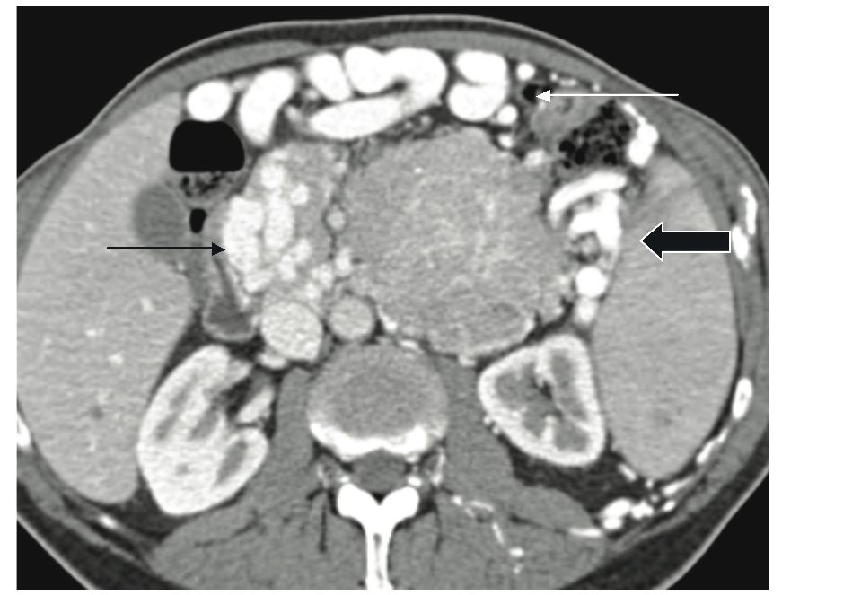 fig3 image