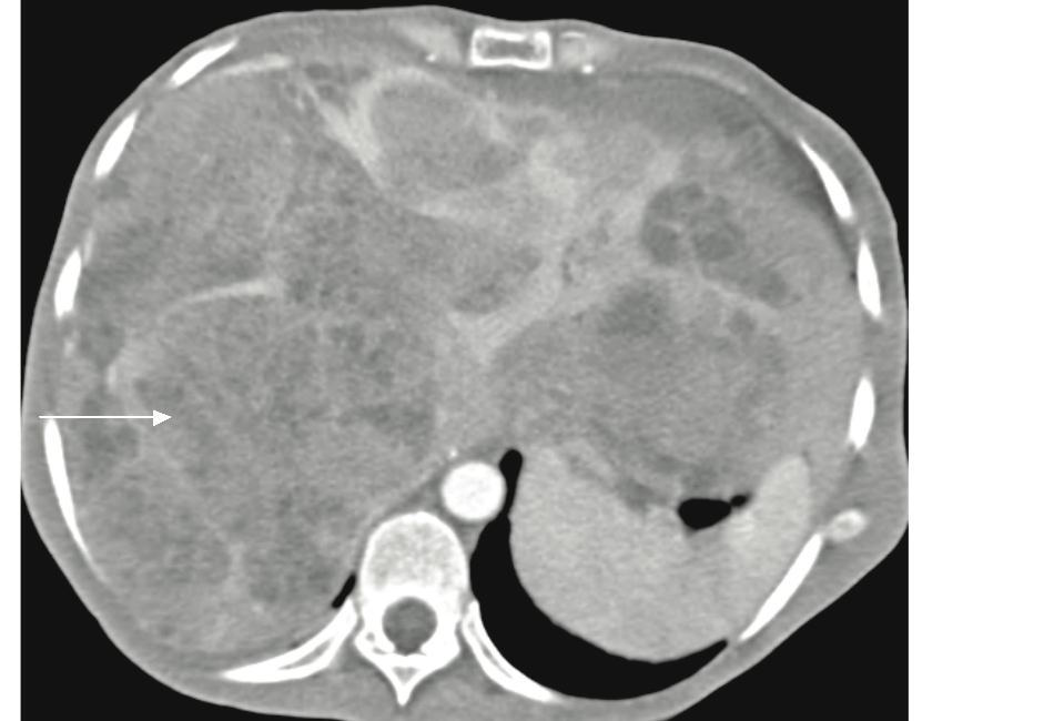 fig5 image