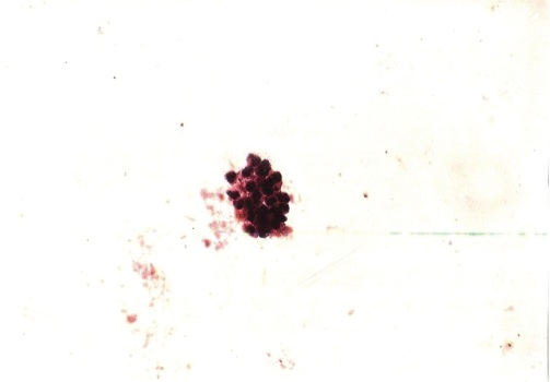 photomic3 image