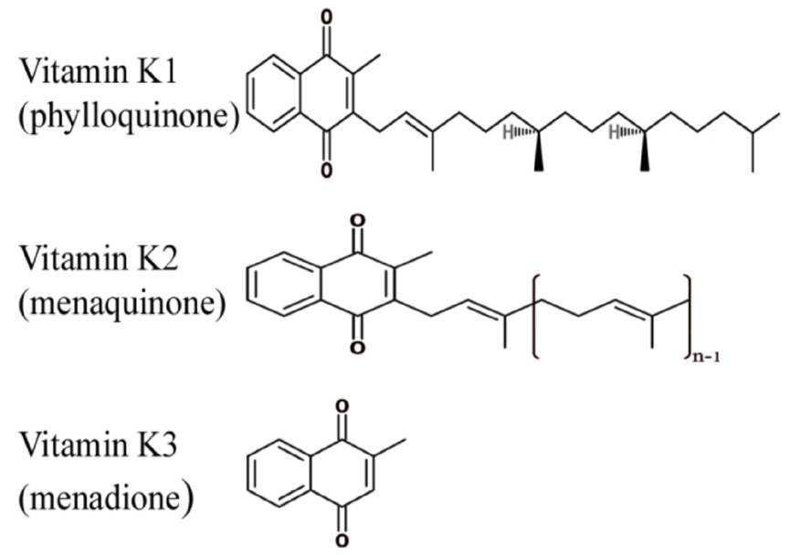 Chemistry Of Vitamin K Pdf
