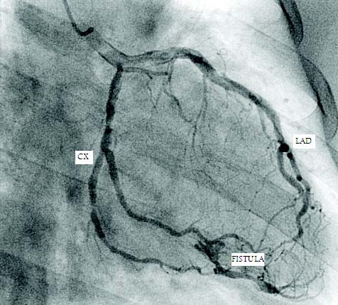 Oman Medical Journal-Archive